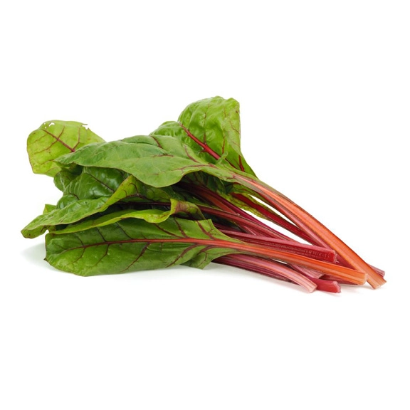 Red Chard | Babyleaf